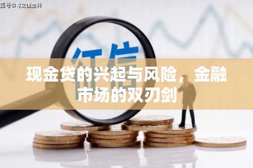 南湖现金贷的兴起与风险，金融市场的双刃剑