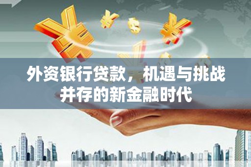 南湖外资银行贷款，机遇与挑战并存的新金融时代