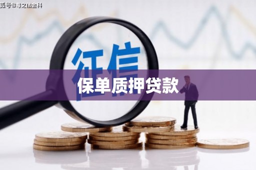 南湖保单质押贷款