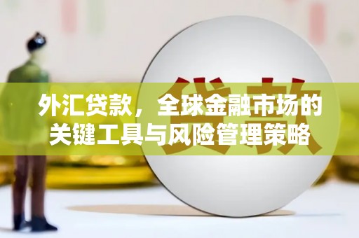 南湖外汇贷款，全球金融市场的关键工具与风险管理策略