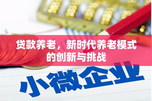 南湖贷款养老，新时代养老模式的创新与挑战