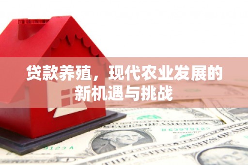 南湖贷款养殖，现代农业发展的新机遇与挑战