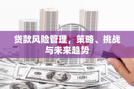 南湖贷款风险管理，策略、挑战与未来趋势