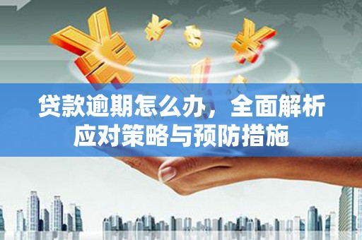 南湖贷款逾期怎么办，全面解析应对策略与预防措施