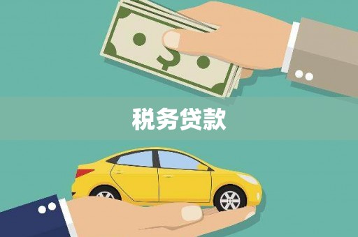 南湖税务贷款