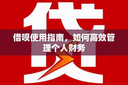 南湖借呗使用指南，如何高效管理个人财务