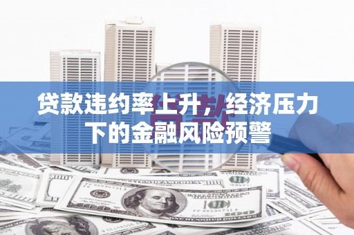 南湖贷款违约率上升，经济压力下的金融风险预警