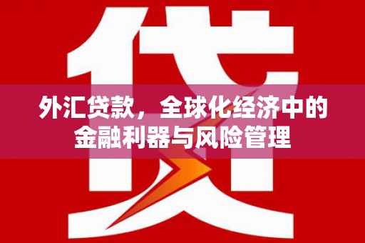 南湖外汇贷款，全球化经济中的金融利器与风险管理