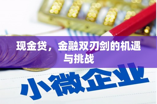 南湖现金贷，金融双刃剑的机遇与挑战