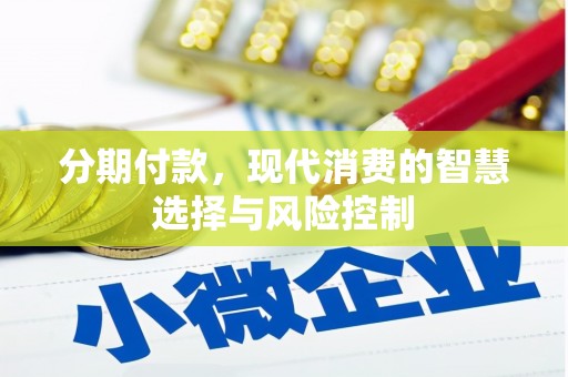 南湖分期付款，现代消费的智慧选择与风险控制