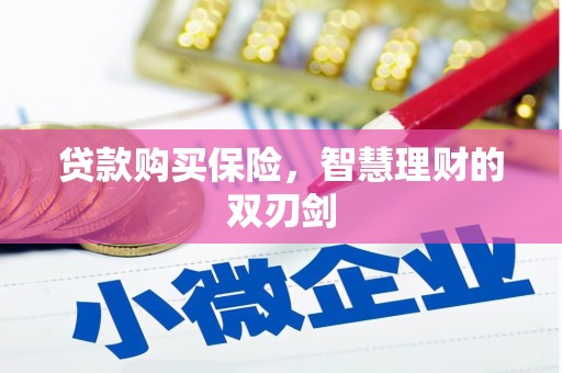 南湖贷款购买保险，智慧理财的双刃剑