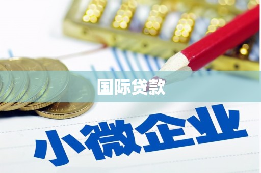 南湖国际贷款