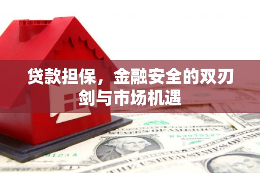 南湖贷款担保，金融安全的双刃剑与市场机遇