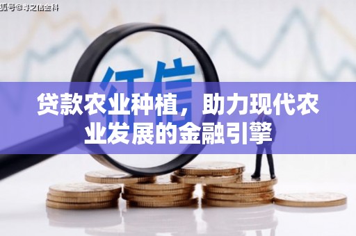 南湖贷款农业种植，助力现代农业发展的金融引擎