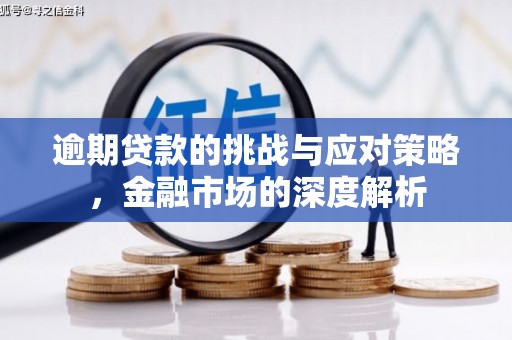 南湖逾期贷款的挑战与应对策略，金融市场的深度解析