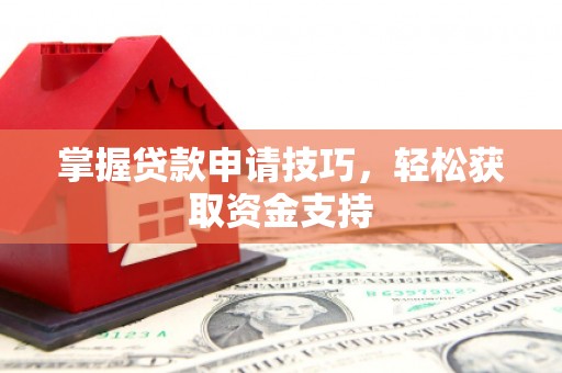 南湖掌握贷款申请技巧，轻松获取资金支持