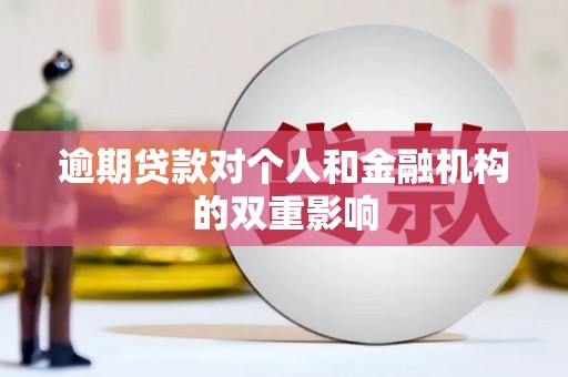 南湖逾期贷款对个人和金融机构的双重影响