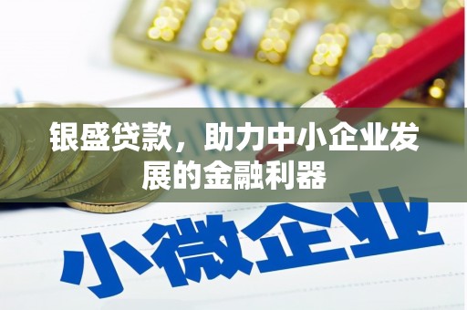 南湖银盛贷款，助力中小企业发展的金融利器