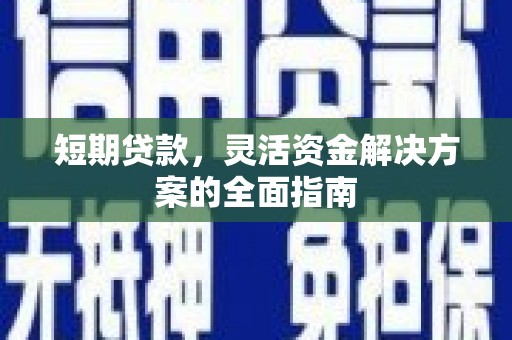 南湖短期贷款，灵活资金解决方案的全面指南