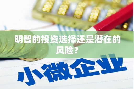 南湖明智的投资选择还是潜在的风险？