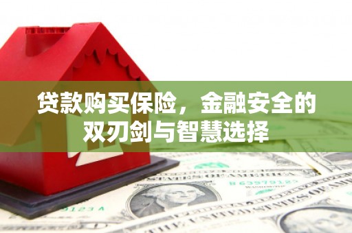 南湖贷款购买保险，金融安全的双刃剑与智慧选择