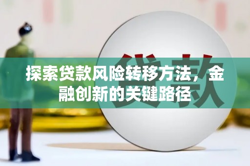 南湖探索贷款风险转移方法，金融创新的关键路径