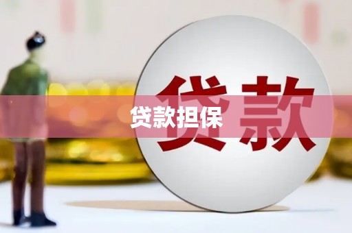 南湖贷款担保