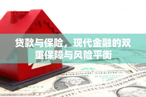 南湖贷款与保险，现代金融的双重保障与风险平衡