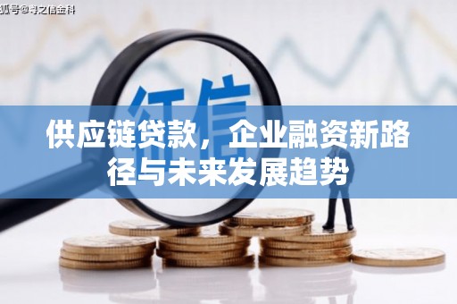 南湖供应链贷款，企业融资新路径与未来发展趋势