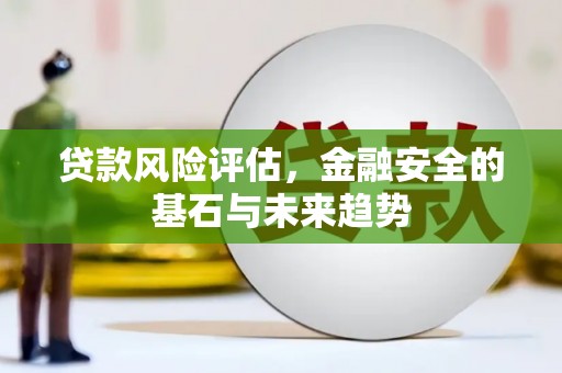 南湖贷款风险评估，金融安全的基石与未来趋势