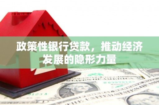 南湖政策性银行贷款，推动经济发展的隐形力量