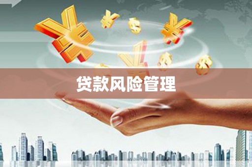 南湖贷款风险管理