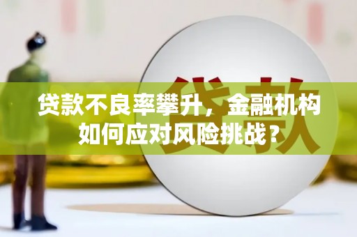 南湖贷款不良率攀升，金融机构如何应对风险挑战？