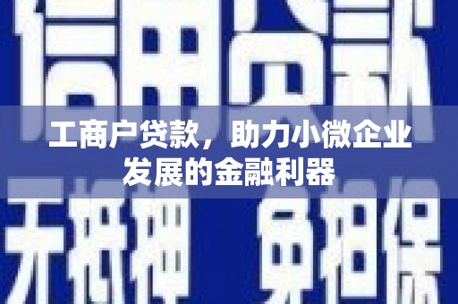 南湖工商户贷款，助力小微企业发展的金融利器