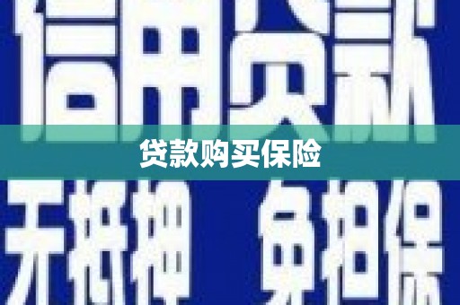 南湖贷款购买保险