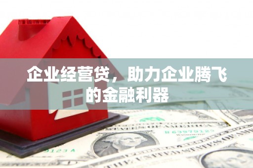 南湖企业经营贷，助力企业腾飞的金融利器