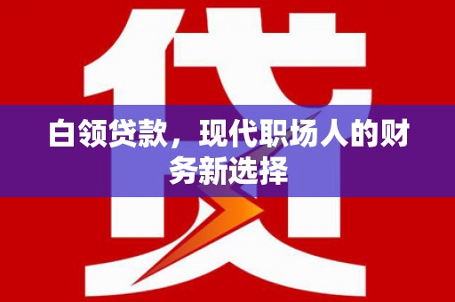南湖白领贷款，现代职场人的财务新选择
