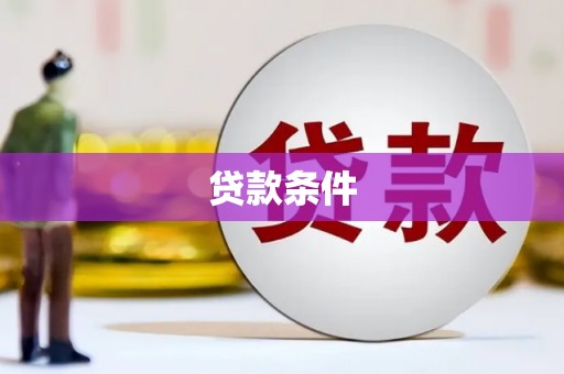 南湖贷款条件