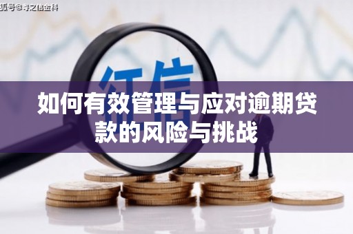 南湖如何有效管理与应对逾期贷款的风险与挑战