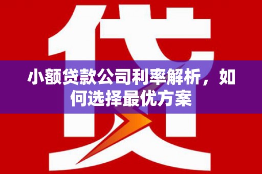 南湖小额贷款公司利率解析，如何选择最优方案