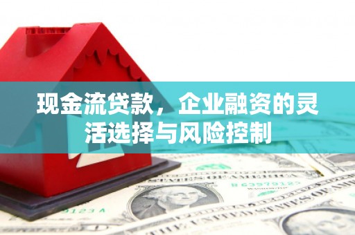 南湖现金流贷款，企业融资的灵活选择与风险控制