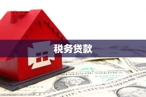 南湖税务贷款