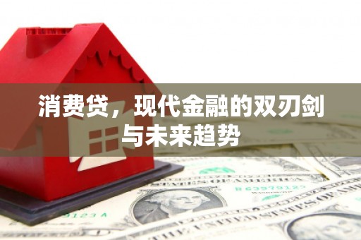 南湖消费贷，现代金融的双刃剑与未来趋势