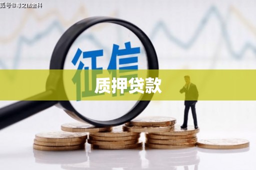 南湖质押贷款