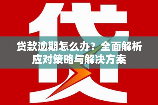 南湖贷款逾期怎么办？全面解析应对策略与解决方案