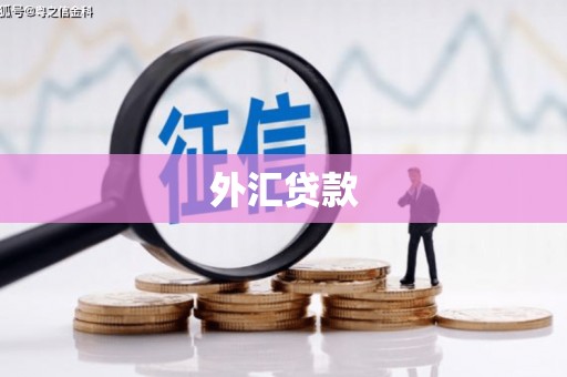 南湖外汇贷款