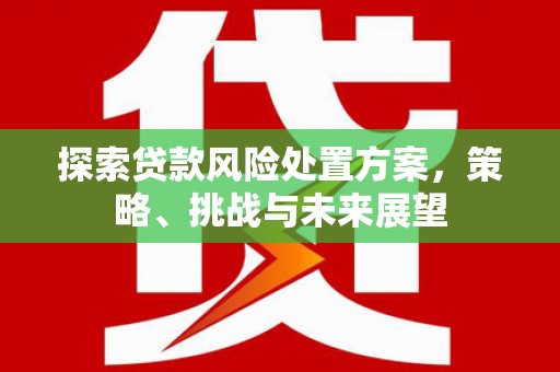 南湖探索贷款风险处置方案，策略、挑战与未来展望
