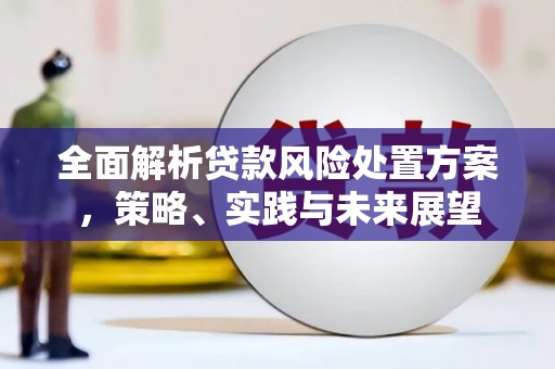 南湖全面解析贷款风险处置方案，策略、实践与未来展望