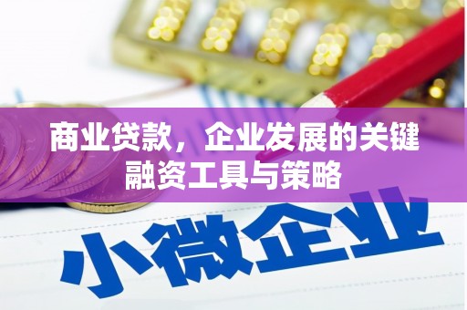 南湖商业贷款，企业发展的关键融资工具与策略