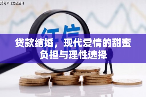南湖贷款结婚，现代爱情的甜蜜负担与理性选择